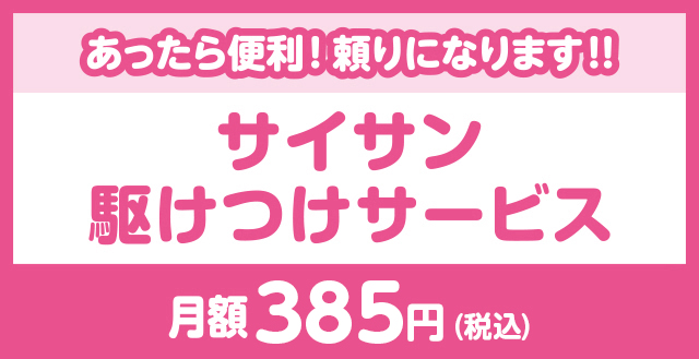 サイサン駆けつけサービス